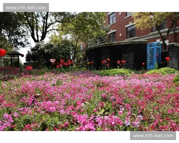 开云体育赛事中心：引领赛事体验的新纪元