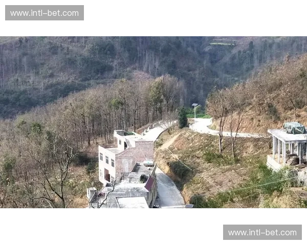 巅峰对决：萨基与基塔，谁才是你灵魂深处的终极选择？